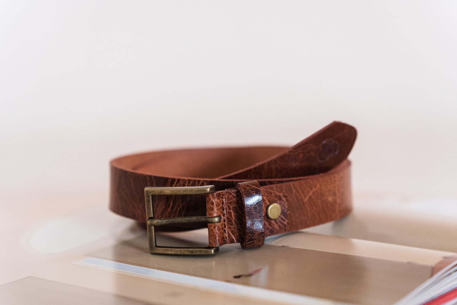 ⁦LEATHER BELT HORSES⁩ – תמונה ⁦5⁩